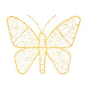 vlinder
