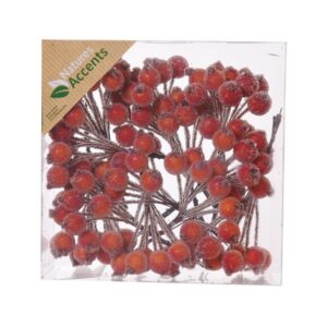 frosted berries