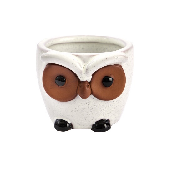 Herfst pot uil wit/bruin keramiek d9cm 1 Herfst pot uil wit/bruin keramiek d9cm